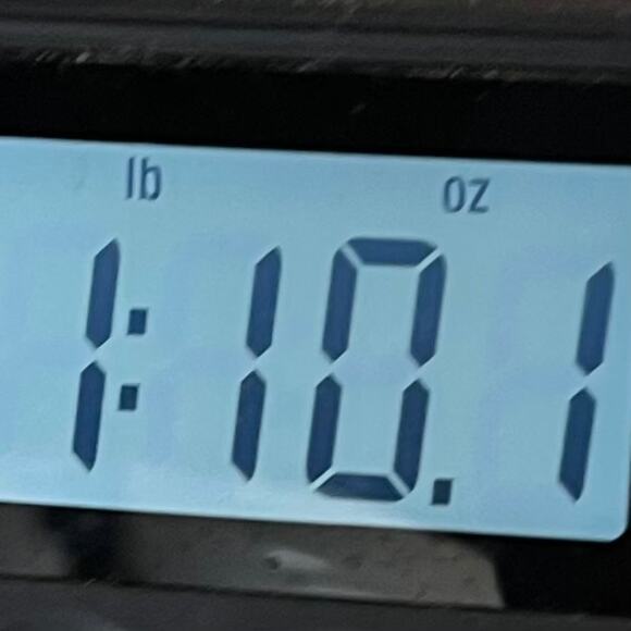 C9 by Champion Girls Snow Ski Snowsuit Bib Pants Size Small Black Overall Winter - Picture 10 of 10